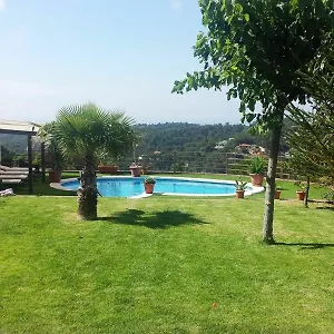 104662 - In Lloret de Mar