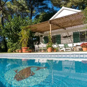 Casa Orquidea