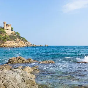 Oli - Lloret de Mar